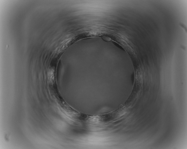 X0000100400127200806131022