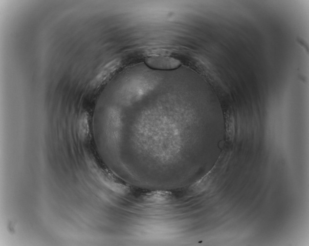 X0000100400128200806131022