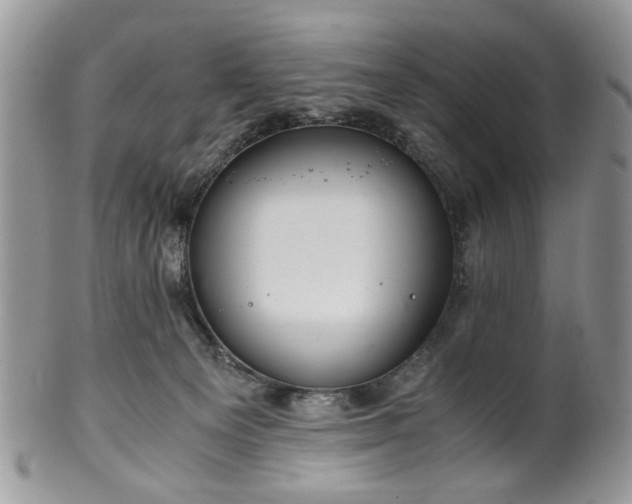 X0000100400129200806131022