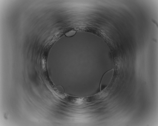 X0000100400130200806131022