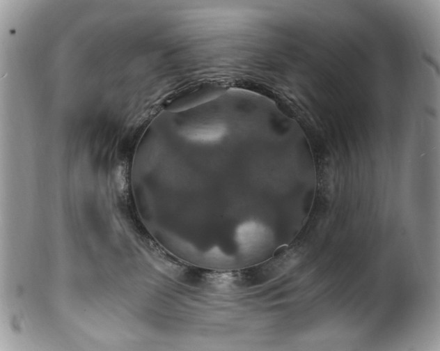 X0000100400131200806131022