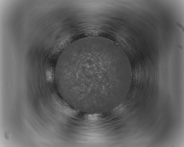 X0000100400134200806131022