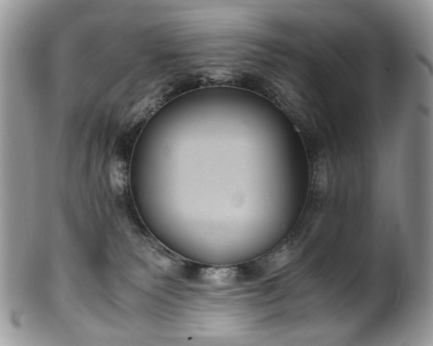X0000100400135200806131022