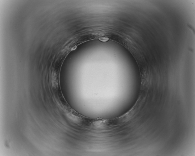 X0000100400136200806131022