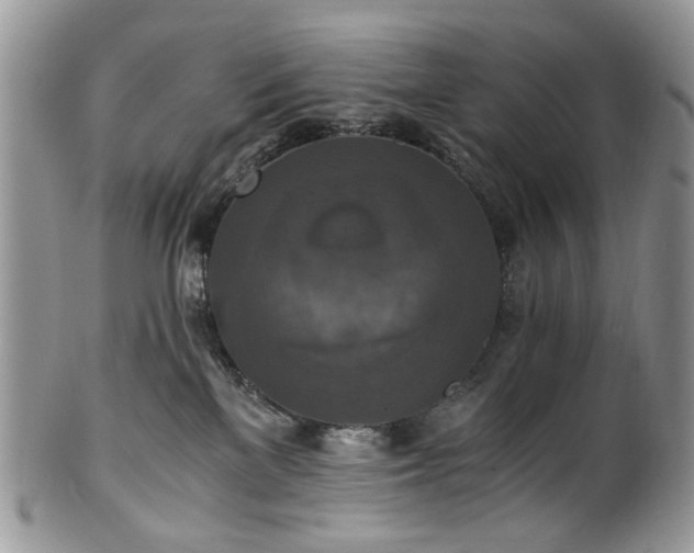 X0000100400137200806131022