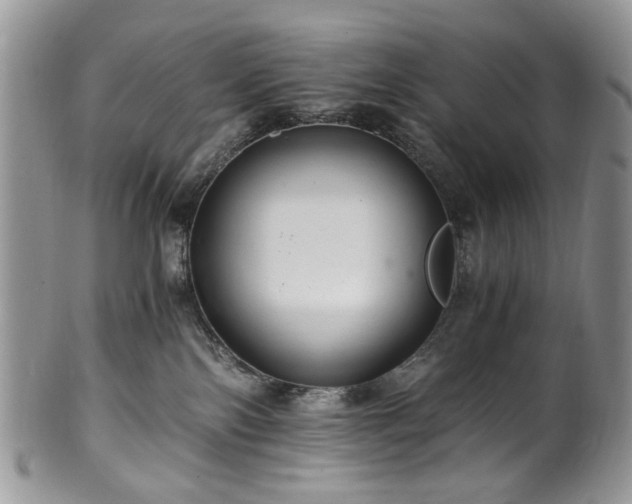 X0000100400138200806131022