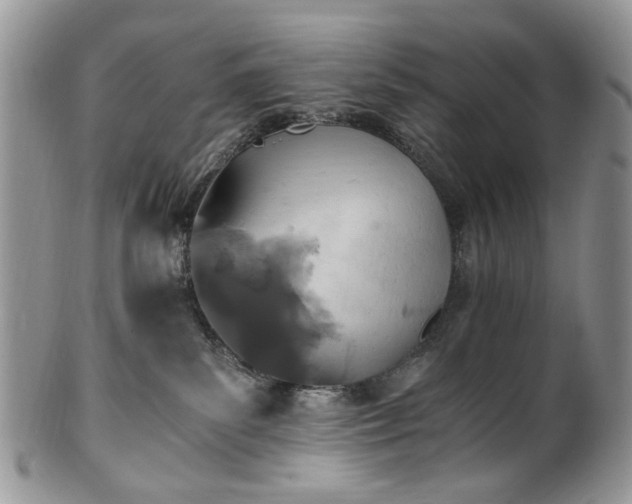 X0000100400139200806131022