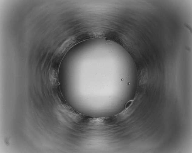 X0000100400140200806131022