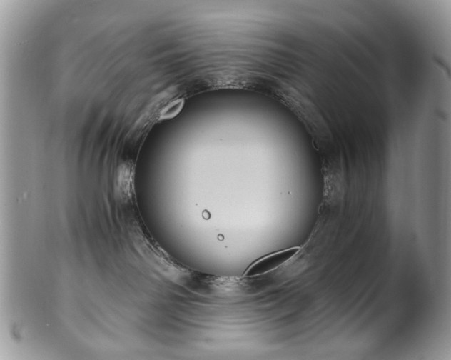 X0000100400142200806131022