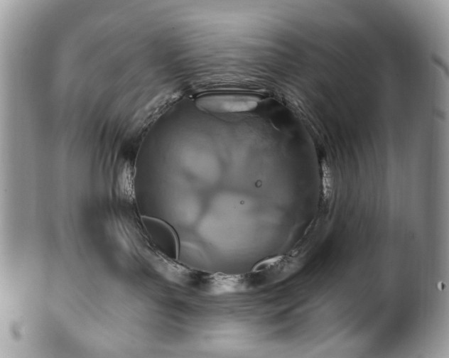 X0000100400143200806131022
