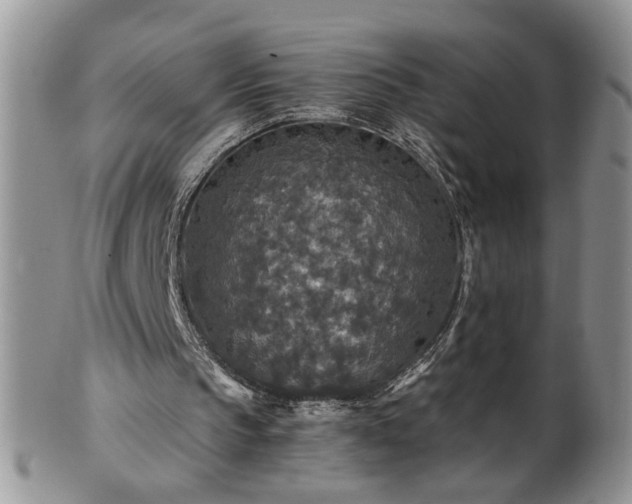 X0000100400145200806131021
