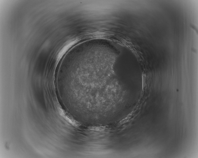 X0000100400147200806131021