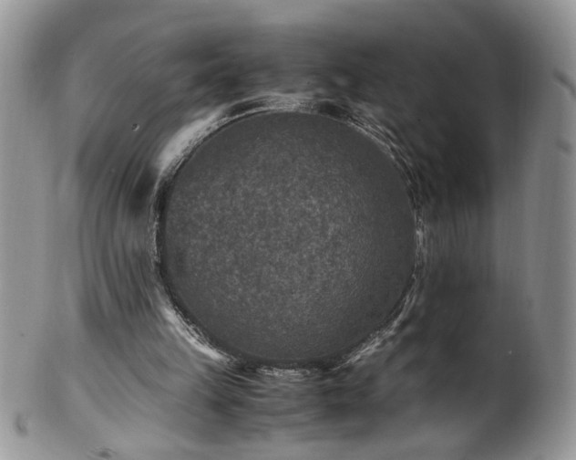 X0000100400149200806131021