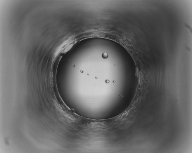 X0000100400150200806131021