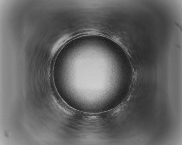 X0000100400151200806131021
