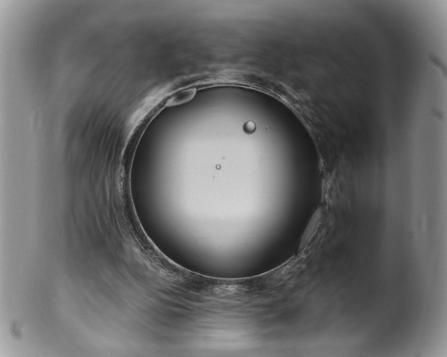 X0000100400152200806131021