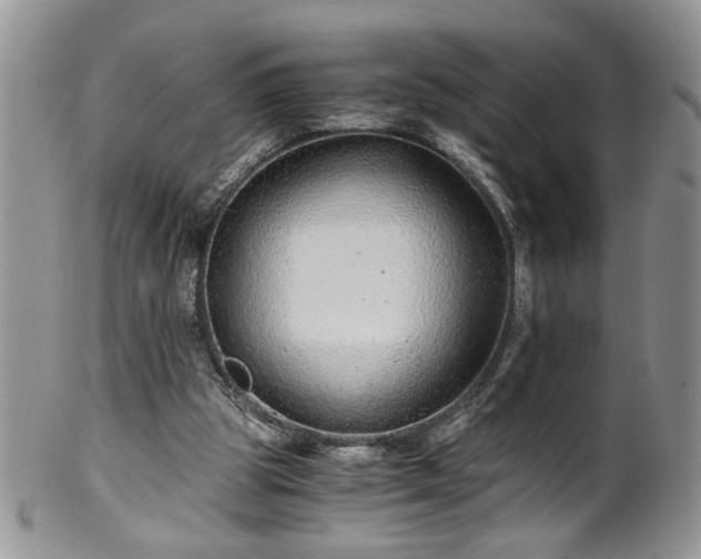 X0000100400153200806131021