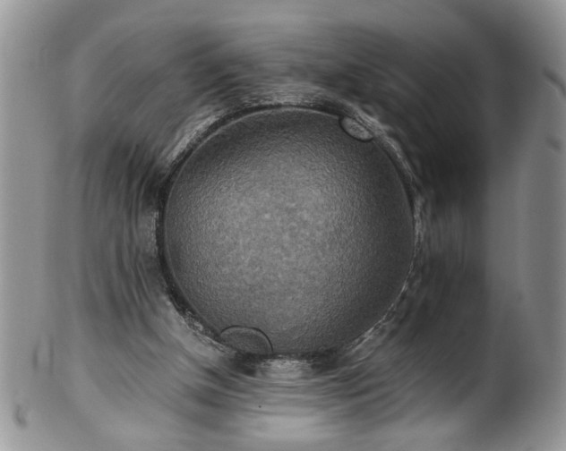 X0000100400154200806131021