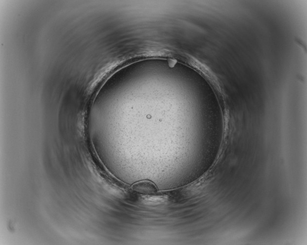 X0000100400155200806131021