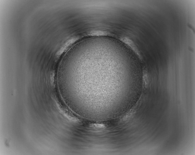 X0000100400159200806131021