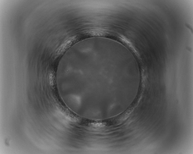 X0000100400161200806131021