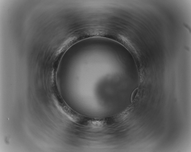 X0000100400163200806131021