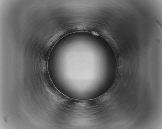 X0000100400164200806131021