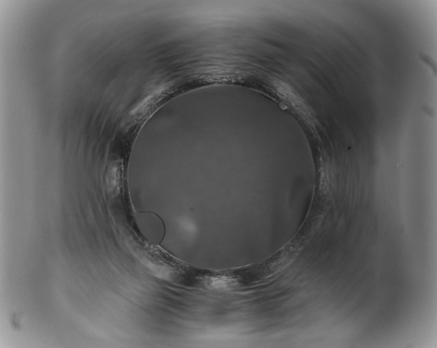 X0000100400165200806131021