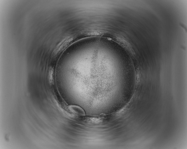 X0000100400166200806131021