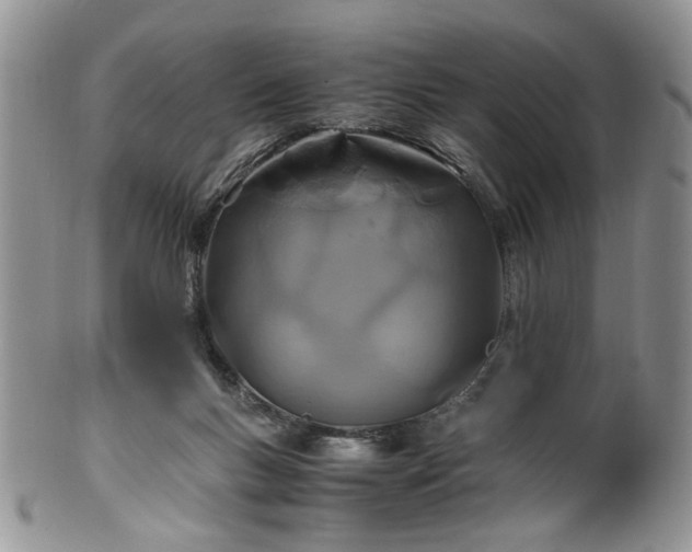 X0000100400167200806131021