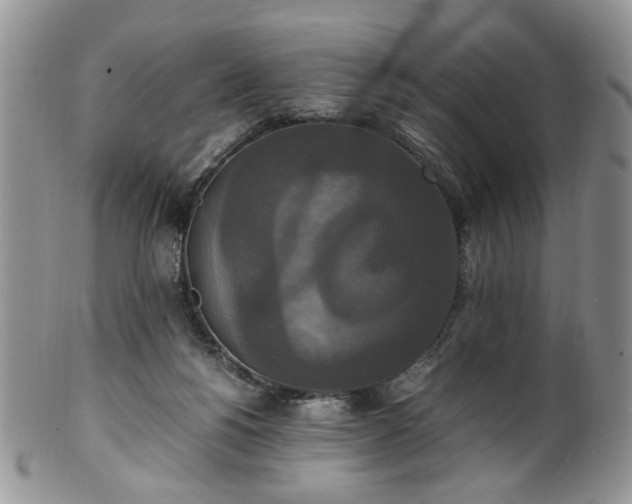 X0000100400168200806131021