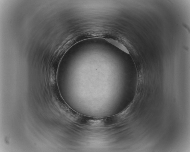 X0000100400170200806131021