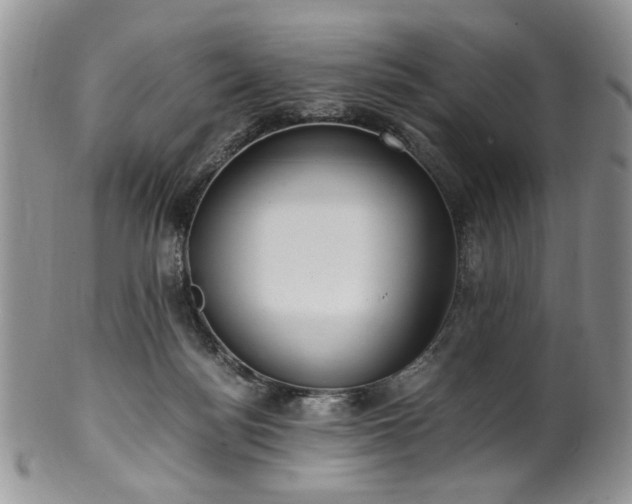 X0000100400172200806131021