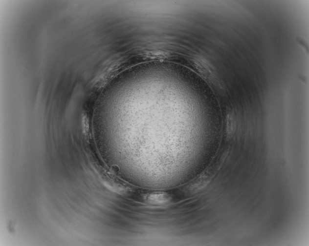 X0000100400173200806131021