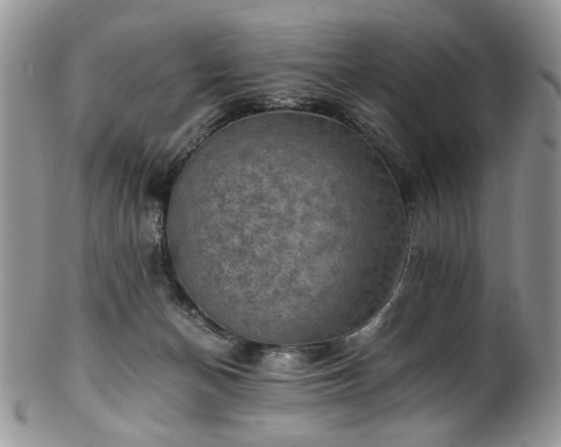 X0000100400174200806131021