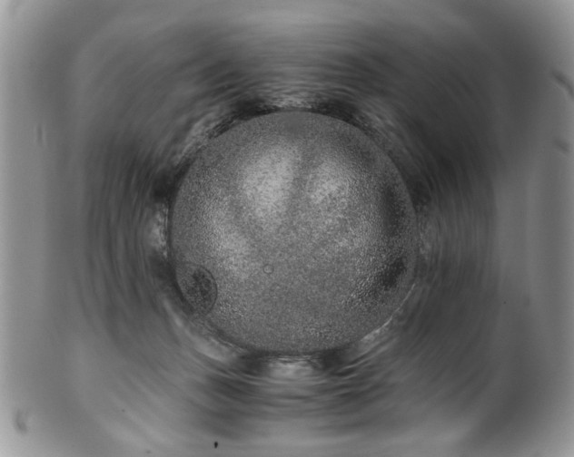 X0000100400175200806131021
