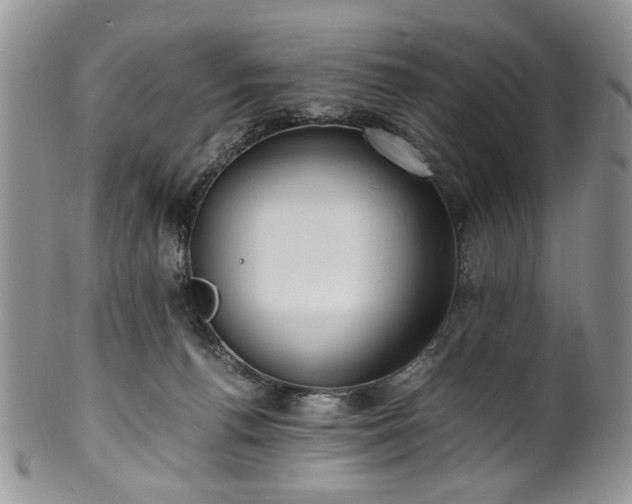 X0000100400176200806131021