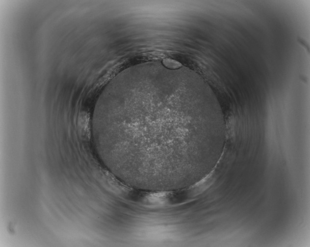 X0000100400178200806131021