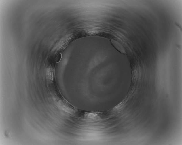 X0000100400180200806131021