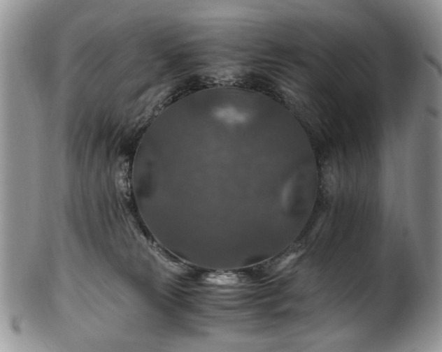 X0000100400181200806131021