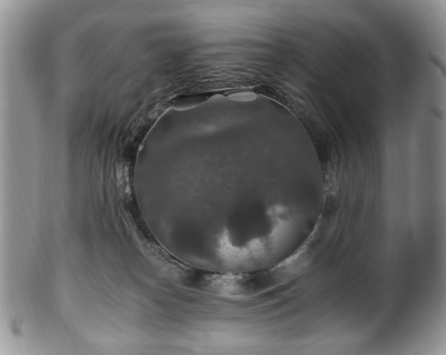 X0000100400182200806131022