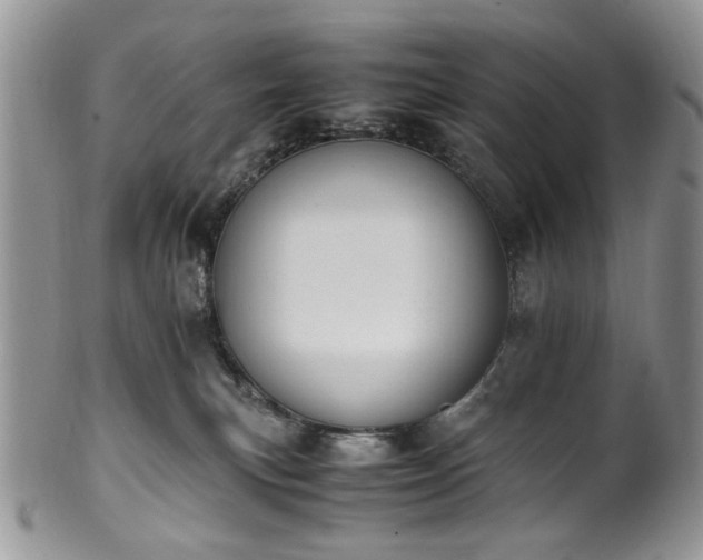 X0000100400183200806131022