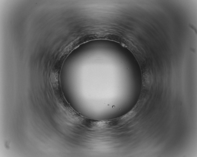 X0000100400184200806131022