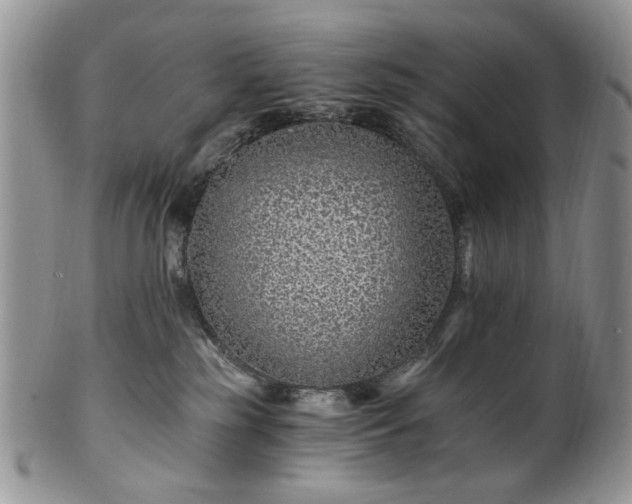 X0000100400185200806131022