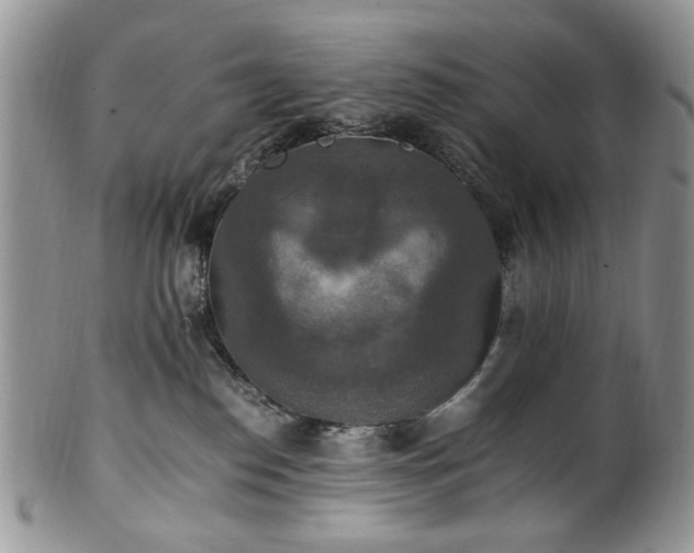 X0000100400186200806131022
