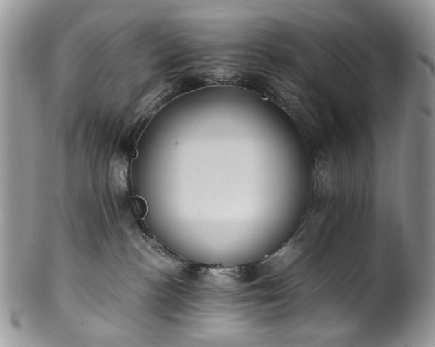 X0000100400188200806131022