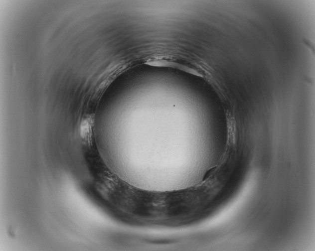 X0000100400191200806131022