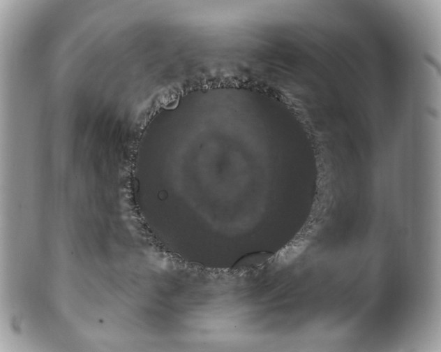 X0000100400192200806131022