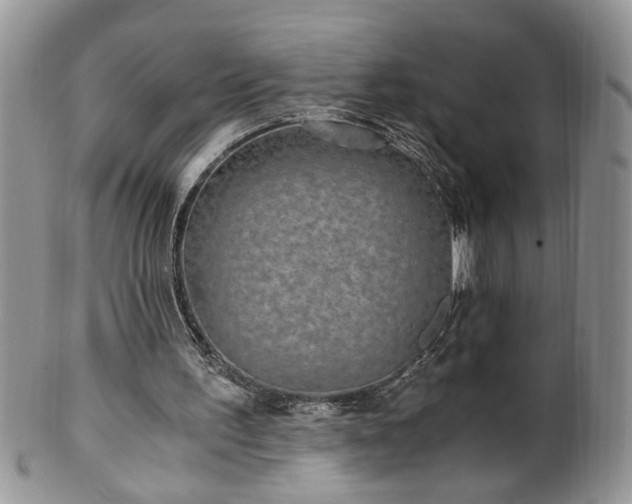 X0000100400195200806131021