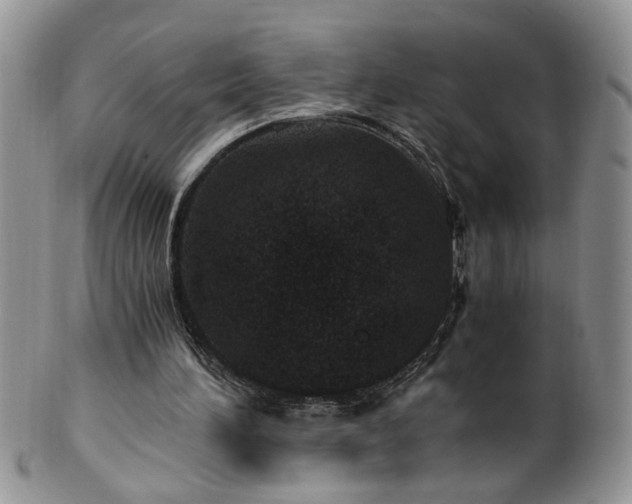 X0000100400196200806131021